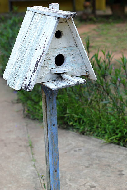 istock Bird house with the nature 524922139