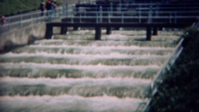 1959: Fish farming counting center waterfall salmon ladder.