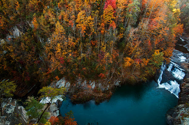 istock Tallulah Gorge Rim Trail 524925535