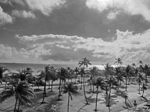 Miami's South Beach in black and white, with clouds and palm trees. 