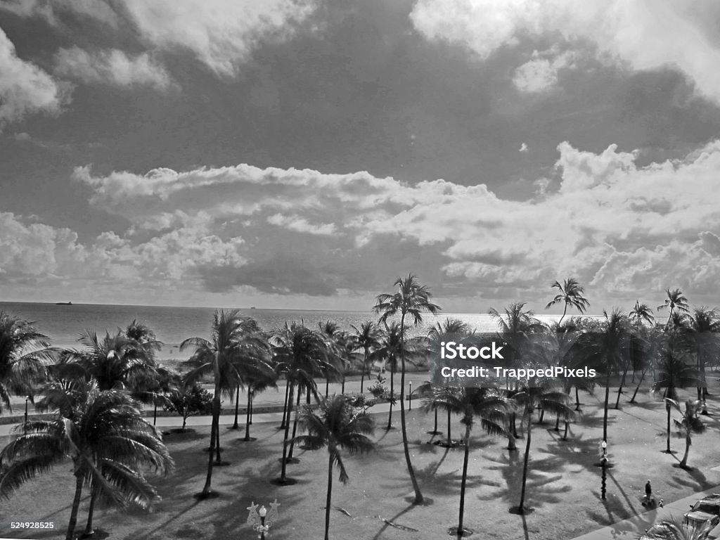 South Beach in Black and White Miami's South Beach in black and white, with clouds and palm trees.  Beach Stock Photo