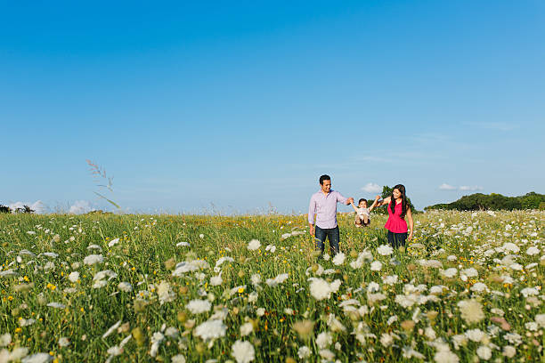 istock Happy and playful family 524943705