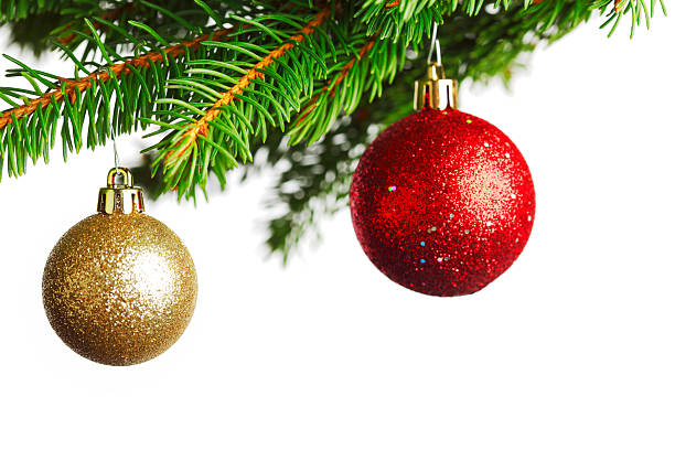 istock Branch of Christmas tree 524943967