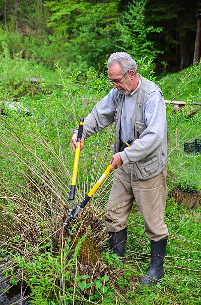 giardiniere anziano - manual worker glasses gardening domestic life foto e immagini stock