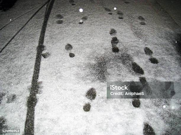 Shoes Footprints In The Snow On The Pavement At Night Stock Photo - Download Image Now