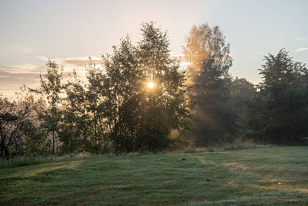 istock misty fields and meadows after the rain in summer 524997379