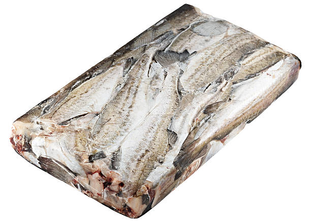 istock frozen in a block of ice fish, pollock. isolated 524998535