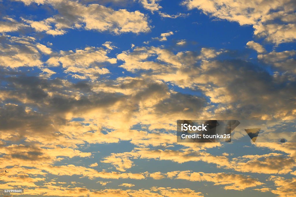 Cloudscape Background Cloudscape On Sunset Sky Backgrounds Stock Photo - Download Image Now ...