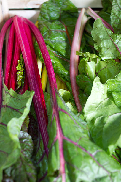 istock Beet Greens in a Wood Crate (Close-Up) 524998913