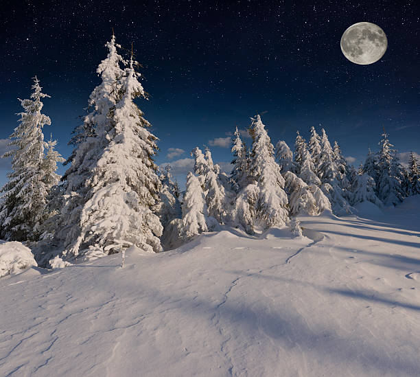 istock Night landscape in the mountains with stars and full moon. 525001061
