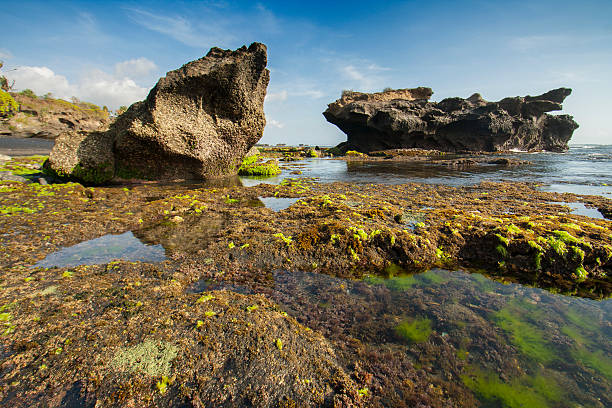 istock Beautiful Sunset in Bali 525001203