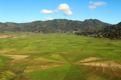 Indonesia: Lingko campos en Cancar photo