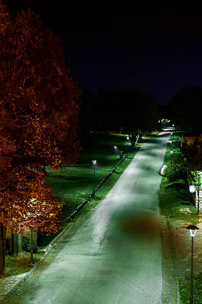istock Park on Foggy Autumn night 525002871