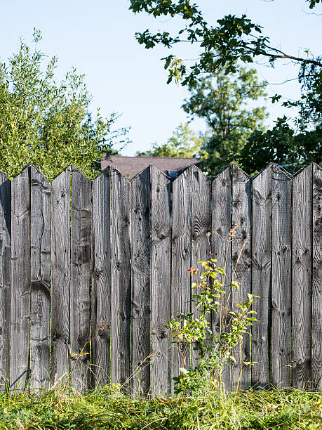 istock old wooden fence with barbed wire on top 525003035
