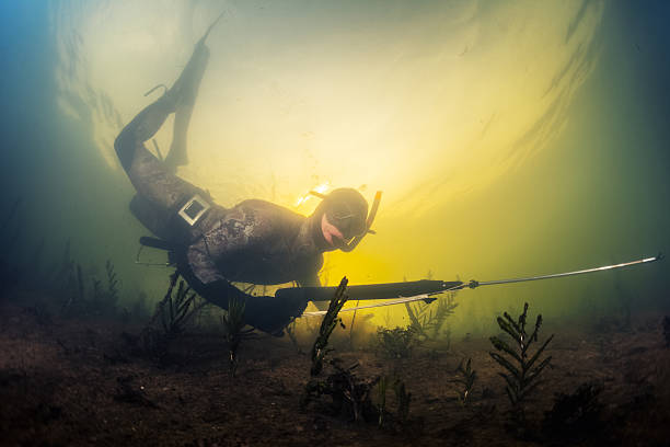 Spearfishing Underwater shot of the man with speargun spear stock pictures, royalty-free photos & images