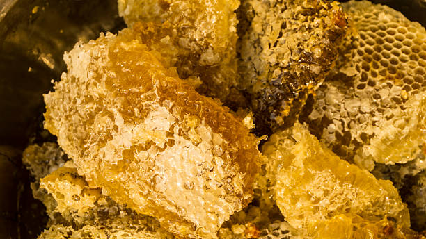 istock Bee honey collected in the yellow honeycomb. 525015614