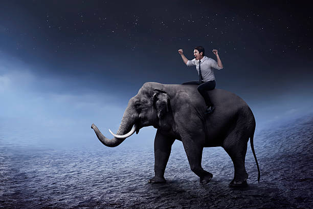 istock Asian business man riding elephant 525015998