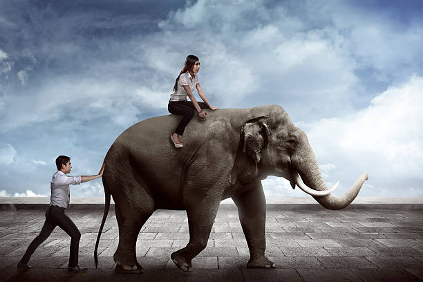 istock Asian business man push elephant 525016142