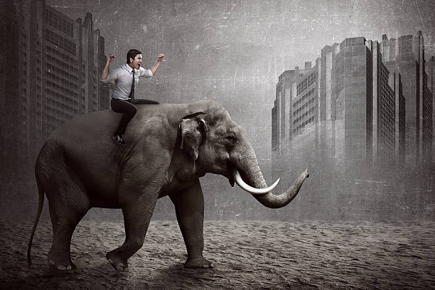 istock Asian business man riding elephant 525016182