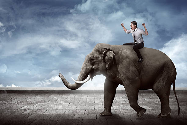 istock Asian business man riding elephant 525016212