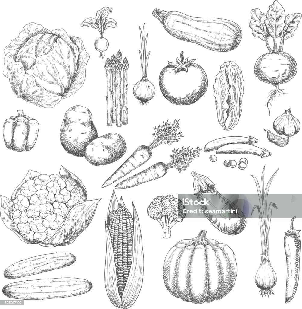 Desenho colheita de outono símbolo com legumes frescos - Vetor de Ilustração e Pintura royalty-free