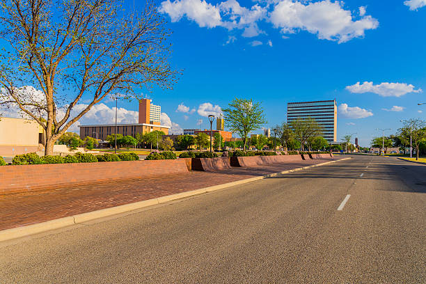 skyline de la ville de lubbock et plantes du printemps, texas - lubbock photos et images de collection