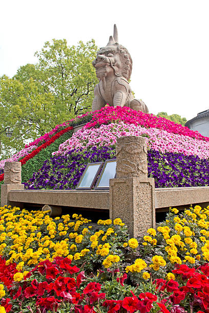 istock Lion statue in Suzhou, China 525017475