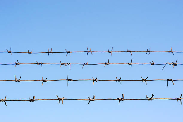 istock Four Barbed Wire Lines against a Blue Sky 525019960