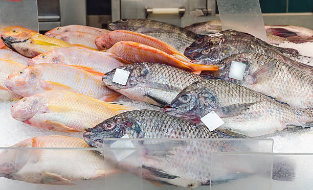istock fish  in the market 525022378
