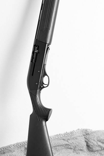 istock Twelve Gauge Shotgun 525022741