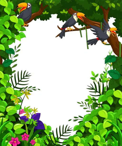 Vector illustration of toucan in green forest