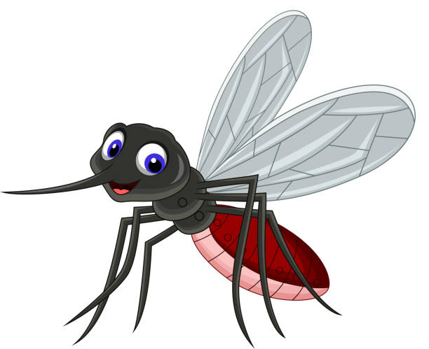 356 Angry Mosquito Cartoon Illustrations & Clip Art - iStock 356 Angry Mosquito Cartoon Illustrations & Clip Art - iStock