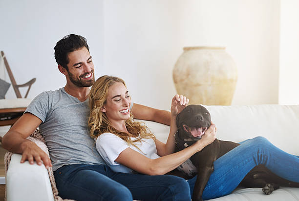 istock Four legged friends make a house a home 525025330