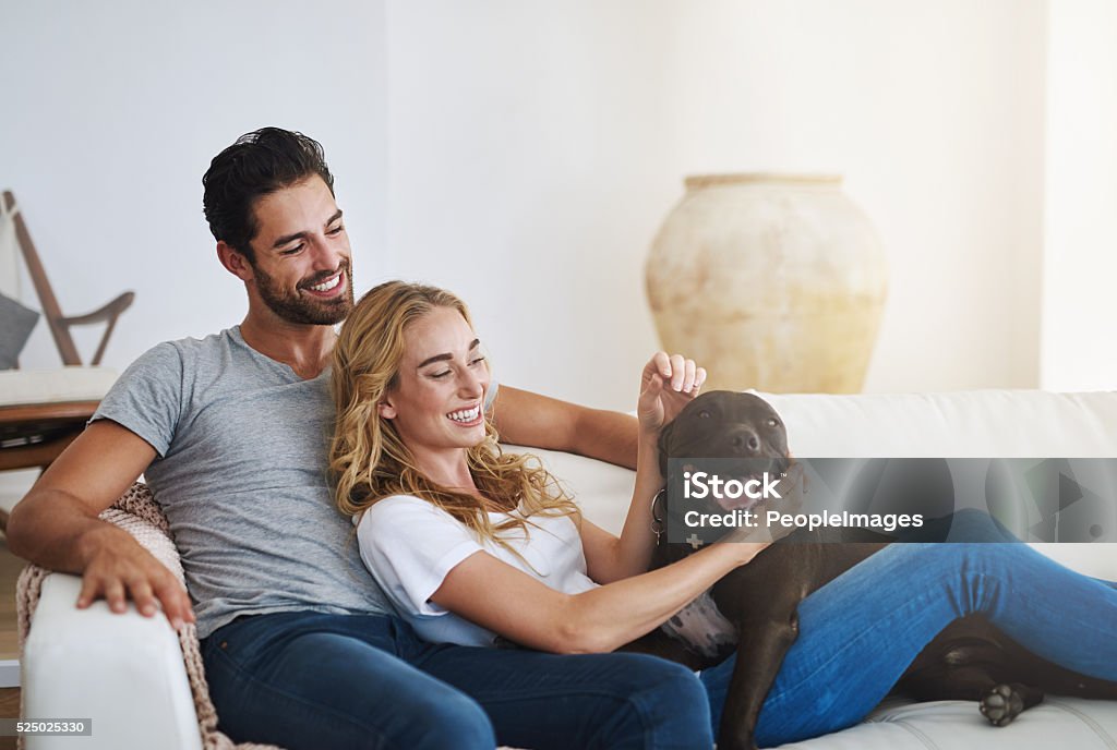 Four legged friends make a house a home Shot of a young couple relaxing at home with their dog Couple - Relationship Stock Photo