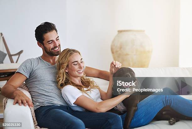 Four Legged Friends Make A House A Home Stock Photo - Download Image Now - Couple - Relationship, Dog, Domestic Life