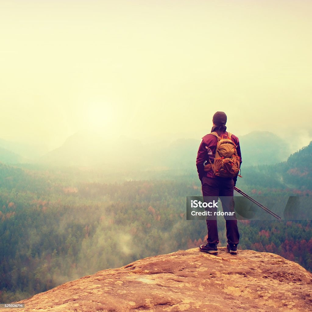 Tourist watching into deep misty valley bellow. Spring day Tourist with sporty backpack and poles in hands stand on cliff and watching into deep misty valley bellow. Sunny spring day in mountains.Vintage Toned Adult Stock Photo