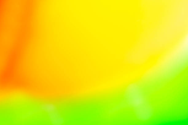 istock Background of blurred colors 525027140