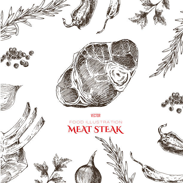 vector meat steak sketch drawing designer template. food hand-drawn vector meat steak sketch drawing designer templates. food hand-drawn backdrop for corporate identity meat drawings stock illustrations