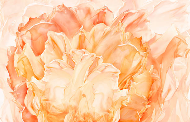 Abstract Fabric Flower Background, Artistic Floral Waving Cloth, Petal pattern