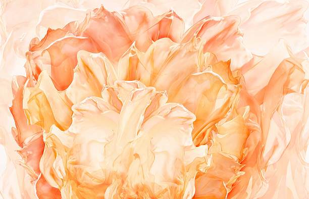 tecido de fundo abstrato flor, artístico floral a acenar um pano, pétala padrão - amarelo ilustrações imagens e fotografias de stock