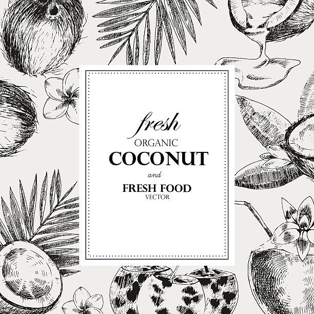Hand drawn coconut design template. Retro sketch style vector tropical Hand drawn coconuts design template. Retro sketch style vector tropical food illustration. woodcut banner stock illustrations