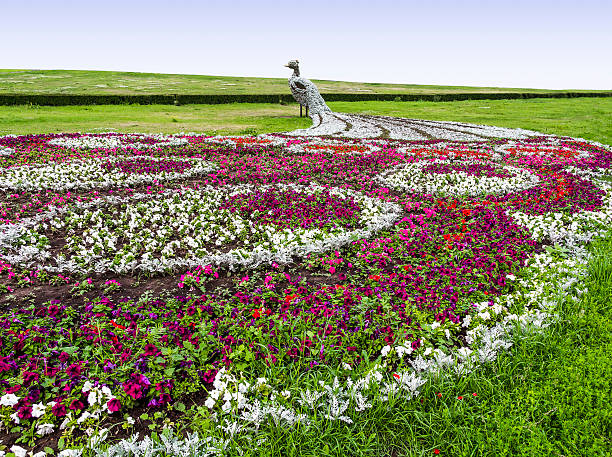 istock Beautiful floral lawn 525032588