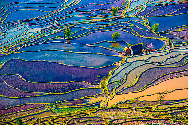 Flooded rice fields in South China Scenery of rice terraces in Yunnan province of China yangshuo stock pictures, royalty-free photos & images