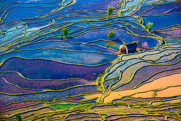 inundada campos de arroz no sul da china - yangshuo imagens e fotografias de stock