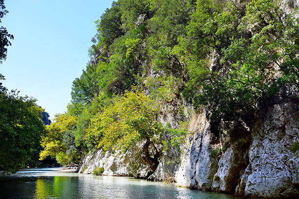 istock Springs of Acheron river 525038856