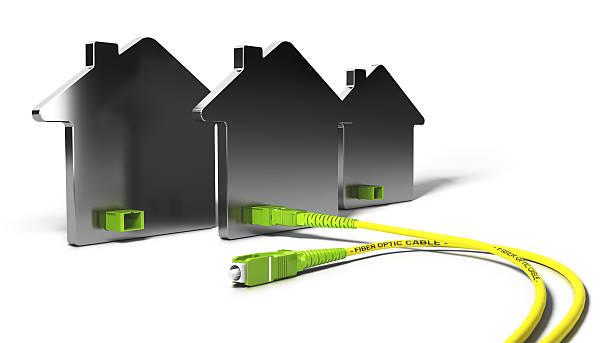 FTTH, Fiber To The Home 3D Illustration