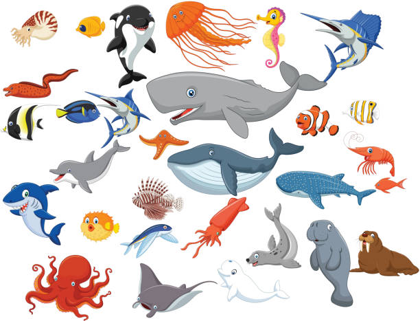 ilustraciones, imágenes clip art, dibujos animados e iconos de stock de dibujos animados de animales de mar aislado sobre un fondo blanco - cachalote
