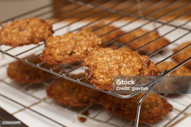 Racks Sheets Of Oatmeal Chocolate Chip Cookie Rack Stock Photo - Download Image Now - Baked, Bakery, Baking