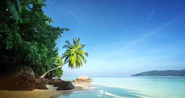 istock early morning, Seychelles beach 525040786