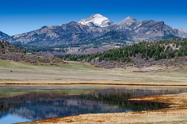 istock mountain reflect in the swamp 525043835